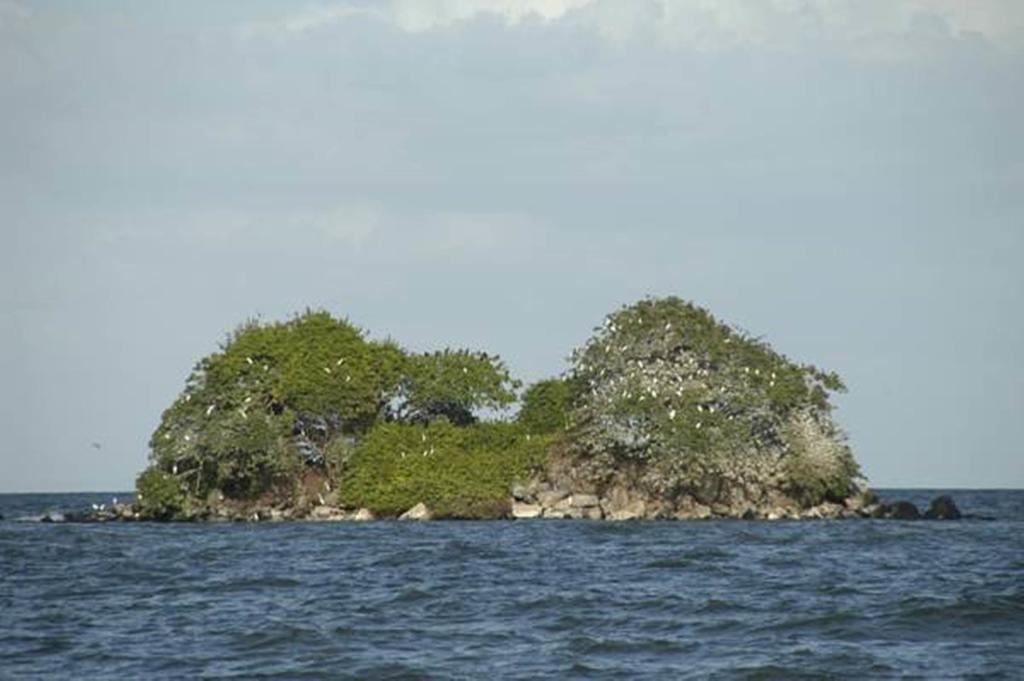 Hotel San Juan Ometepe Altagracia 외부 사진